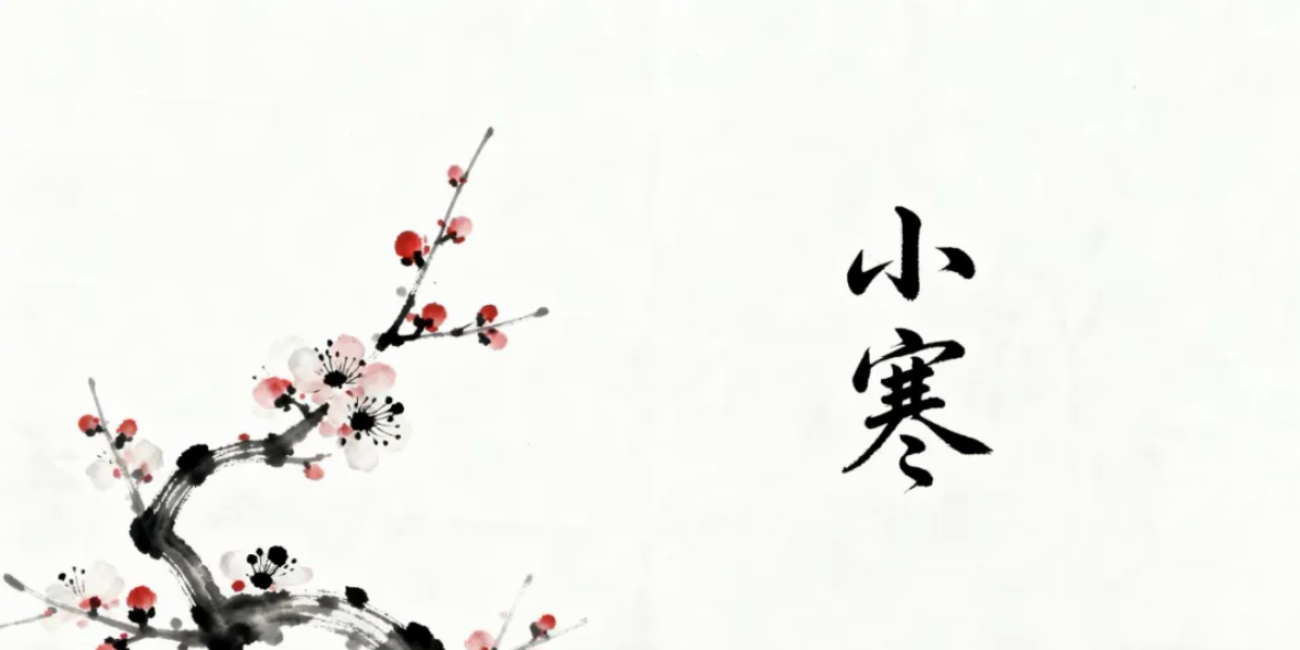 寒尽春生，万物待发